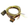 FAST Harness FAST Vss And Aux