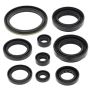 Vertex Pistons 822259 Vertex Gaskets 00-02 Arctic Cat 500 4x4 w/AT Oil Seal Kit