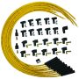 MOROSO MOR73216 Blue Max Ignition Wire Set - Yellow