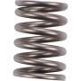 Autopart International Exhaust Spring 2108290553