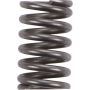 Autopart International Exhaust Spring 210849769