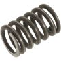 Autopart International Exhaust Spring 210862174