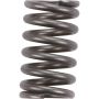 Autopart International Exhaust Spring 210873866