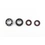Athena P400105444050 06-14 Aprilia RX 50 Crankshaft Bearing & Oil Seal Rebuilding Kit