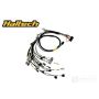 Rywire Honda B-Series (w/Haltech Elite 1500+) Eng Harn w/OBD1 Alt/EV1 Inj/AEM IAT & MAP (Adapt. Req)