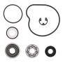 Vertex Pistons 821928 Vertex Gaskets 12-14 Arctic Cat 550 EFI 4x4 Water Pump Rebuild Kit