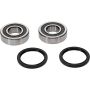Pivot Works 25-1548-P TM Wheel Bearing Kit Premium Bearings