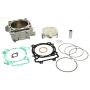 Athena P400250100003 Big Bore Cylinder Kits