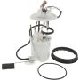 Autopart International Fuel Pump Assembly 220209852