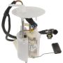 Autopart International Fuel Pump Assembly 220212870