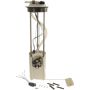 Autopart International Fuel Pump Assembly 220212871