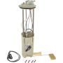 Autopart International Fuel Pump Assembly 2202246782