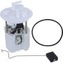 Autopart International Fuel Pump Assembly 2202287396