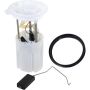 Autopart International Fuel Pump Assembly 2202320863