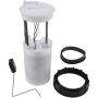 Autopart International Fuel Pump Assembly 2202425072