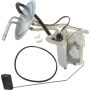 Autopart International Fuel Pump Assembly 2202425960