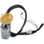 Autopart International Fuel Pump Assembly 2202480505