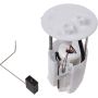 Autopart International Fuel Pump Assembly 2202481306