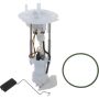 Autopart International Fuel Pump Assembly 2202496129