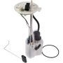 Autopart International Fuel Pump Assembly 2202496149