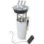 Autopart International Fuel Pump Assembly 2202496159
