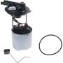 Autopart International Fuel Pump Assembly 2202496206