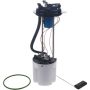 Autopart International Fuel Pump Assembly 2202496221