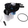 Autopart International Fuel Pump Assembly 2202496236