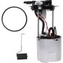 Autopart International Fuel Pump Assembly 2202496238