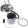 Autopart International Fuel Pump Assembly 2202496239