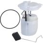 Autopart International Fuel Pump Assembly 2202496275