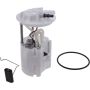 Autopart International Fuel Pump Assembly 2202496280