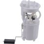 Autopart International Fuel Pump Assembly 2202496358