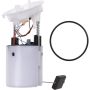Autopart International Fuel Pump Assembly 2202496366
