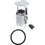 Autopart International Fuel Pump Assembly 2202496378