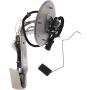 Autopart International Fuel Pump Assembly 2202510454