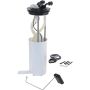 Autopart International Fuel Pump Assembly 2202510470