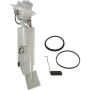Autopart International Fuel Pump Assembly 2202510481