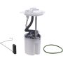Autopart International Fuel Pump Assembly 2202520839