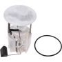 Autopart International Fuel Pump Assembly 2202520864