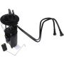 Autopart International Fuel Pump Assembly 2202520865