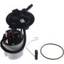 Autopart International Fuel Pump Assembly 2202520868
