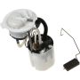 Autopart International Fuel Pump Assembly 2202520974