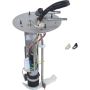 Autopart International Fuel Pump Assembly 2202521069