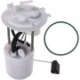 Autopart International Fuel Pump Assembly 2202528785