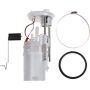 Autopart International Fuel Pump Assembly 2202535777