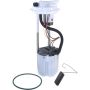 Autopart International Fuel Pump Assembly 2202542427