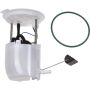 Autopart International Fuel Pump Assembly 2202542462