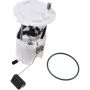 Autopart International Fuel Pump Assembly 2202542465
