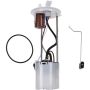 Autopart International Fuel Pump Assembly 2202542473